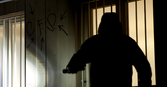 Arizona Homeowner Hears Breaking Glass, Shoots Alleged Burglar Dead