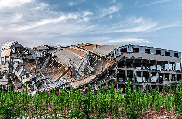 What Experts Won’t Say: The 2026 Economy May Trigger an Irreversible Collapse by 2030