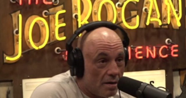 Joe Rogan TORCHES the Women Who Are Showing Up to Support Lindsay Clancy (VIDEO)