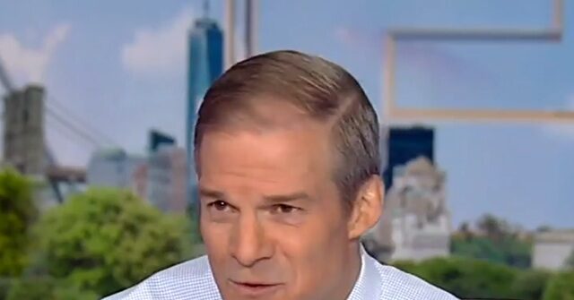 Jim Jordan: Democrat Trump Impeachment Lawyer Dan Goldman Not ‘Good Enough for the Radical Left’