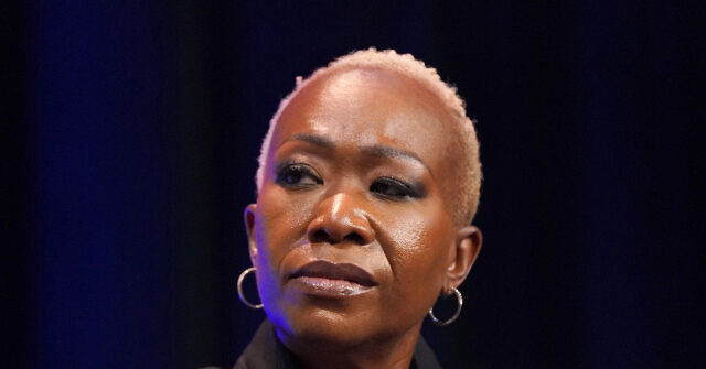 Vice President JD Vance Tells Joy Reid to Show ‘a Little Gratitude’ for America
