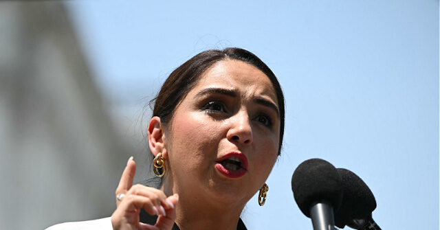 Democratic Member of Congress Confesses Guatemalan Identity