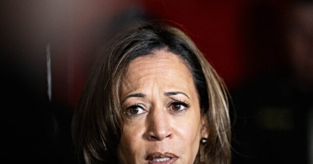 Kamala Harris Finally Chimes in with Other Dems and Blasts Trump’s Venezuelan Operation