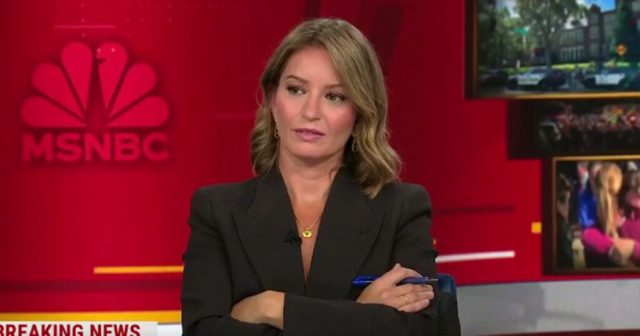 MSNBC Panel Talks Banning All Firearms After Trans Shooter Targets Catholic School: ‘Do What Australia Did’