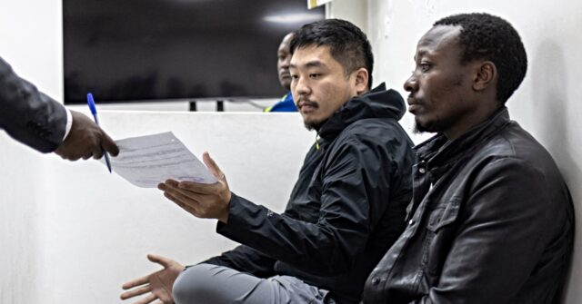 Chinese National Sentenced to One Year in Prison for Smuggling Ants from Kenya