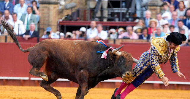 WATCH: Spain’s ‘King of Bullfighters’ Suffers Rectal Goring Injury During Match in Seville
