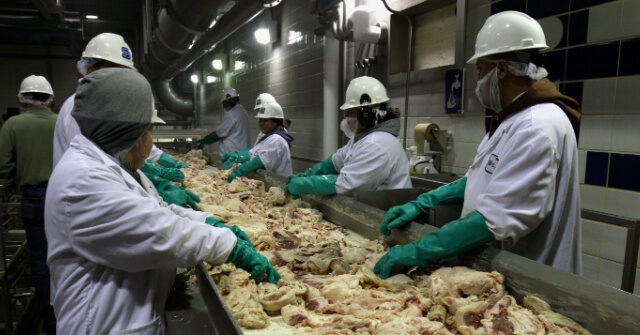 Trump’s Migration Rules Force Wage Gains in Meatpacking