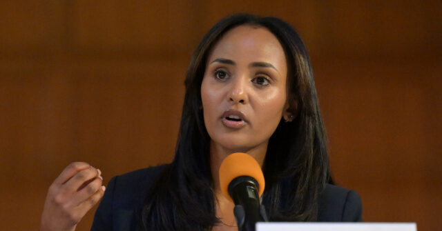 Socialist Melat Kiros Says She Was ‘Excited’ to See Palantir Leave Colorado