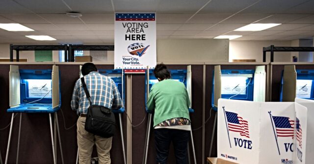 Elon Musk: Minnesota Election Law that Allows a Voter to ‘Vouch’ for 8 Others ‘Made for Fraud’