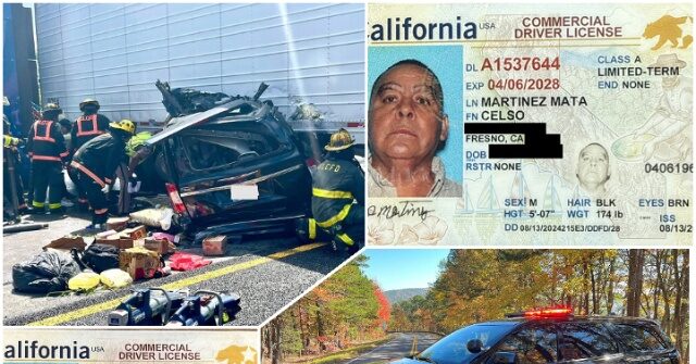 Trump Launches Initiative to Replace Illegal Alien Truck Drivers with Veterans