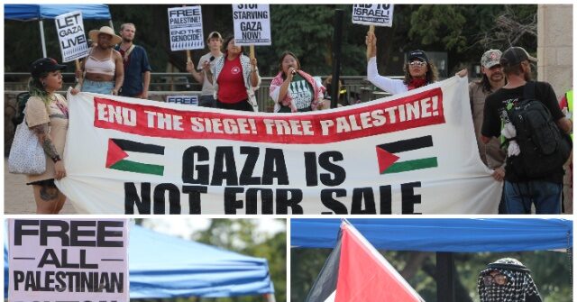 Woke Fatigue: Socialist Party’s Pro-Hamas Protest in San Antonio Fails to Draw Crowd