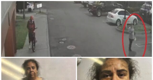 FEDS: ‘LA Mom of 3’ Illegal Alien Faked Kidnapping by ICE ‘Bounty Hunters’ Story to Raise Money