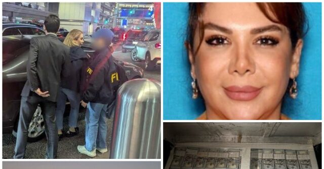 High Rolling Iranian Businesswoman Nabbed at Los Angeles Airport, Accused of Arms Trafficking