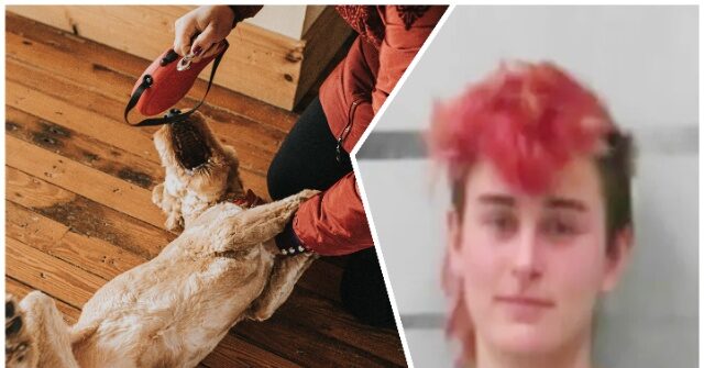 Texas Woman Pleads Guilty to Crushing, Torturing, Sexually Abusing Little Animals