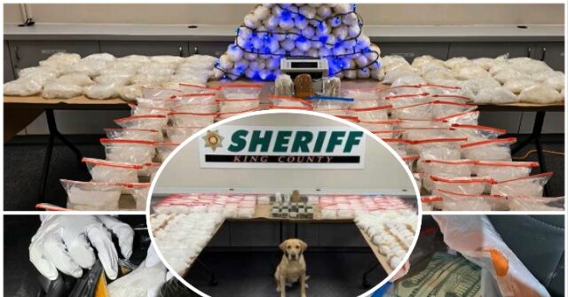 Sinaloa Cartel Drug Flow Into Pacific Northwest Hit Hard in Seattle Meth Seizure