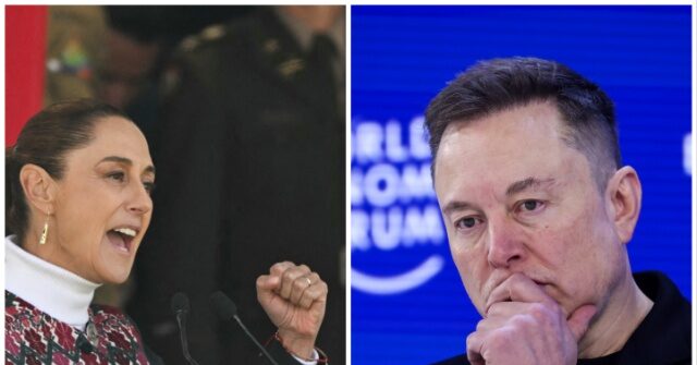 Mexican President May Sue Elon Musk for Implying She Works for Drug Cartels