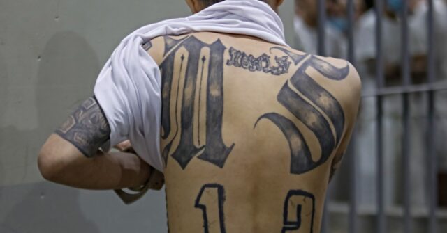 MS-13 Gang Member Serving Time for Murder Suing Trump to Be ‘Recognized’ as Female