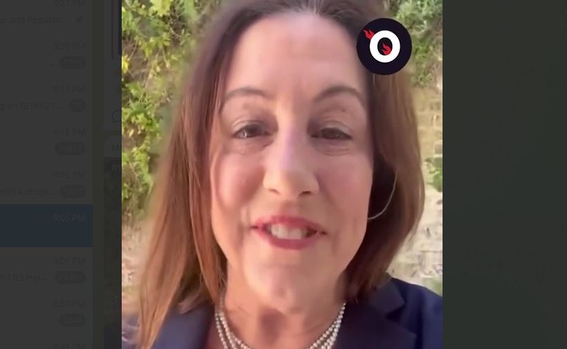 Pelosi’s Daughter Christine Announces Reelection to Democrat National Committee