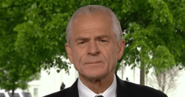 Navarro: Numbers Show Jobs Created for Americans, BLS Is Incompetent, Economy Is Good, and Rates Being Too High May Be Issue