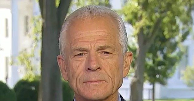 Navarro: ‘It’s Not Just’ ‘Imminent National Security Threat’, Iran Has ‘Terror Premium’ on Oil Prices