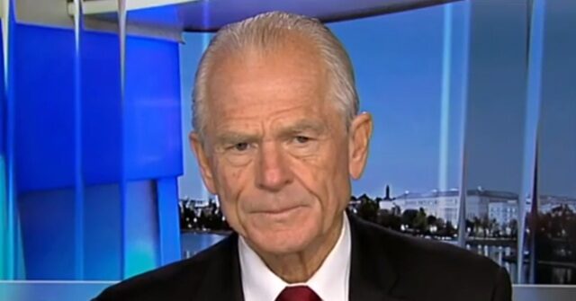 Navarro: Growing Out of Debt Best Case, But ‘Difficult to Unwind’ Biden Spending