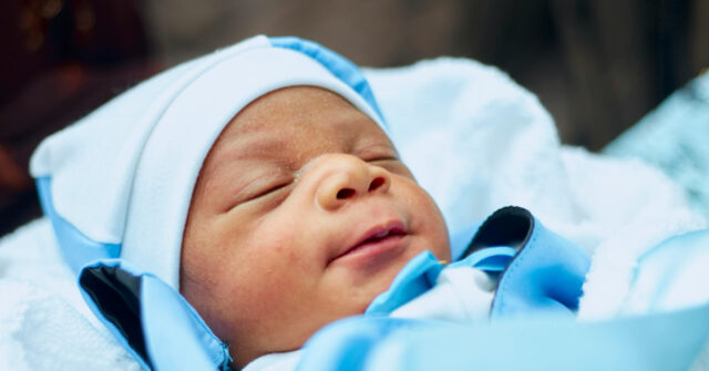 Infant Surrendered to Safe Haven Baby Box in Indiana