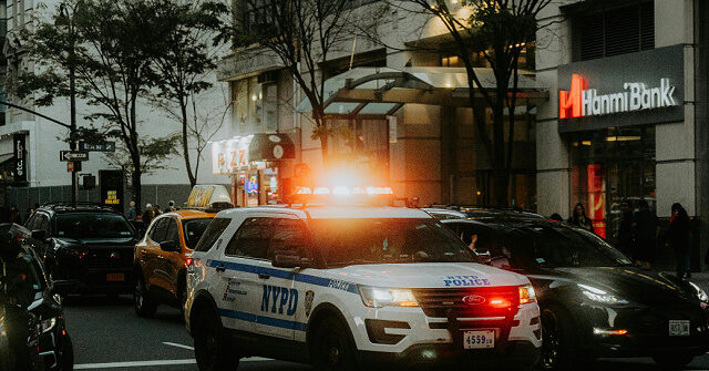 Police: Pro-Palestinian Protesters Storm Retail Store in NYC on Black Friday