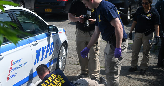 PHOTOS: Judge Frees Man Accused of Vandalizing NYPD Vehicles