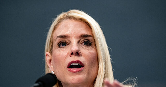 AG Pam Bondi Announces 630 Arrests, 86 Illegal Guns Seized in D.C.
