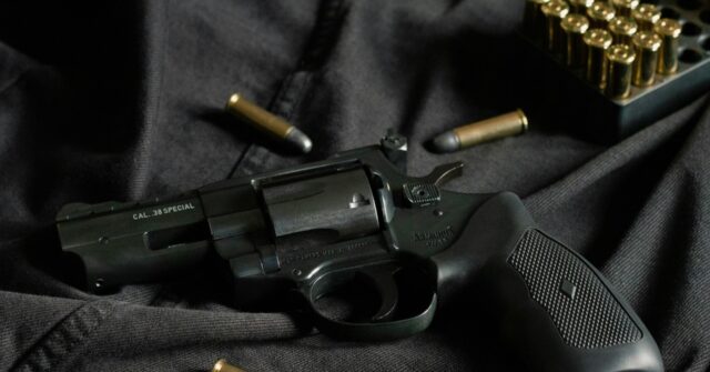 Ninth Circuit Overturns California’s ‘One-Gun-Per-Month’ Restriction