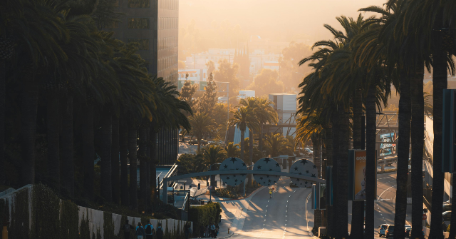Pro-Migration Groups Complain About Empty Streets Due to ICE Enforcement