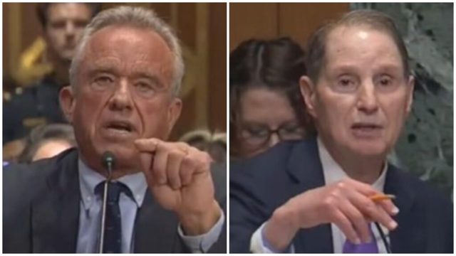 WATCH: RFK Jr OBLITERATES Democrat Senator Ron Wyden With a Couple of Inconvenient Truths After Wyden Questions His Integrity and Says He’s Implementing a “Cruel Agenda”