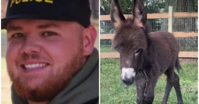 Report Reveals the Georgia Cop Who Killed Family’s Adorable Baby Donkey and His Stated ‘Reason’ for Taking the Animal’s Life