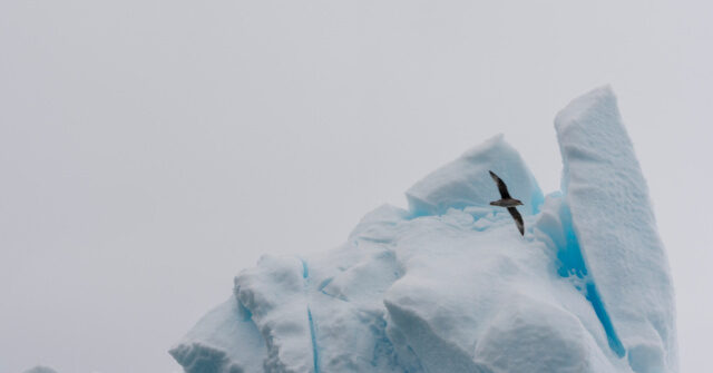 Exclusive – NOAA Axes Taxpayer-Funded Climate.Gov After Trump’s ‘Restoring Gold Standard Science’ EO