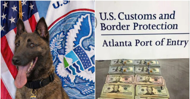 Police Dog ‘Pub’ Helps Seize $75,000 in Illicit Cash at Atlanta Airport