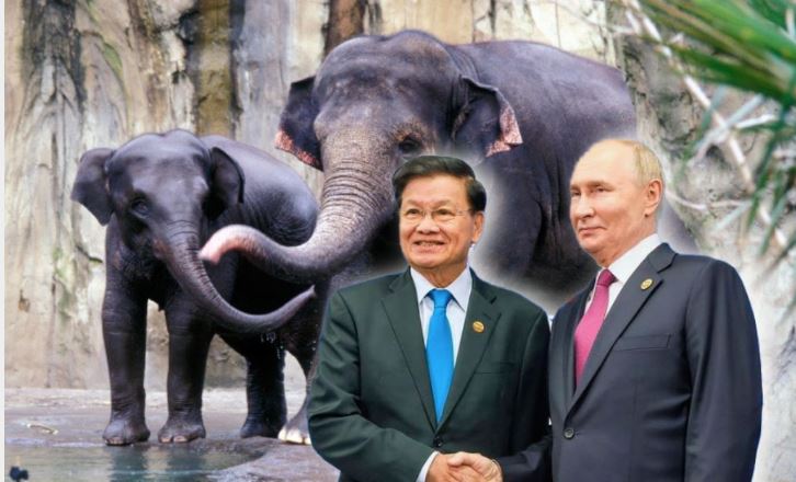 Putin receives two elephants from the president of Laos, a symbolic gift that displays the friendship between Russia and Laos for the 65th Anniversary of diplomatic relations between both nations.