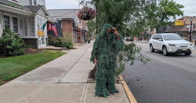 New Jersey Cop Dresses Up Like a Shrub and Busts 74 Drivers Violating Cellphone Laws
