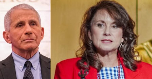 Louisiana Joins Alabama and Florida in Investigating if Fauci Broke Any State Laws