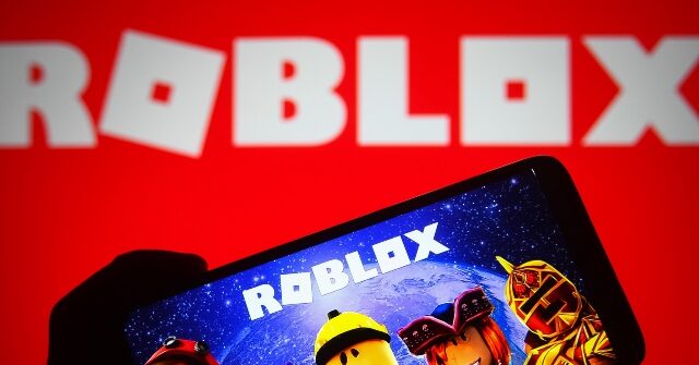 15-Year-Old Boy Disappears in New York City Potentially to ‘Meet’ Roblox Player