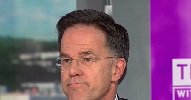 NATO Sec’y General: Europe Shutting Down Refineries ‘a Big Worry’ for Defense