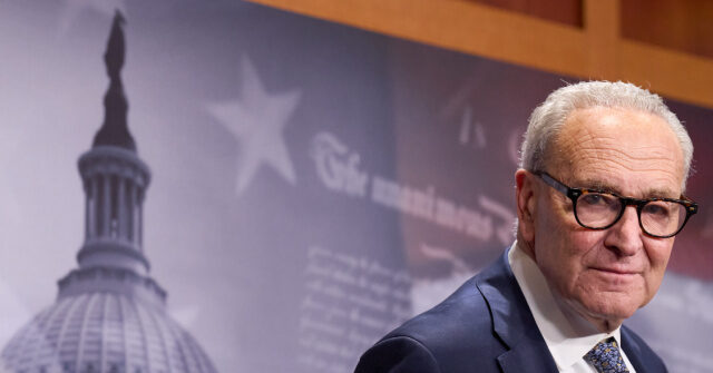 Trump Rips Schumer After Admission Dems Putting Party over Country with Shutdown