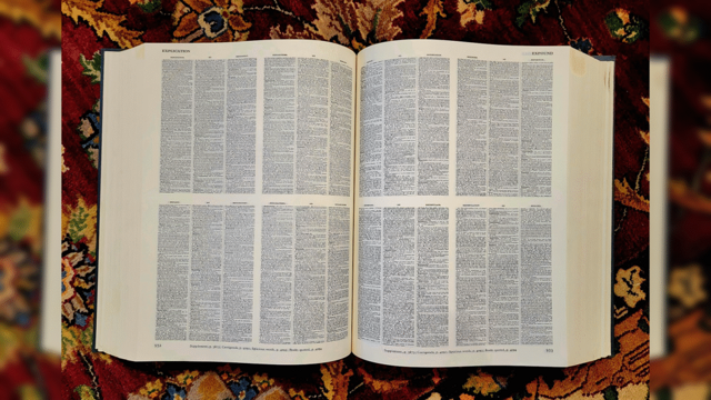 ‘Skibidi’ and Other Slang Words Favored by Young Americans Find Their Way Into the Dictionary
