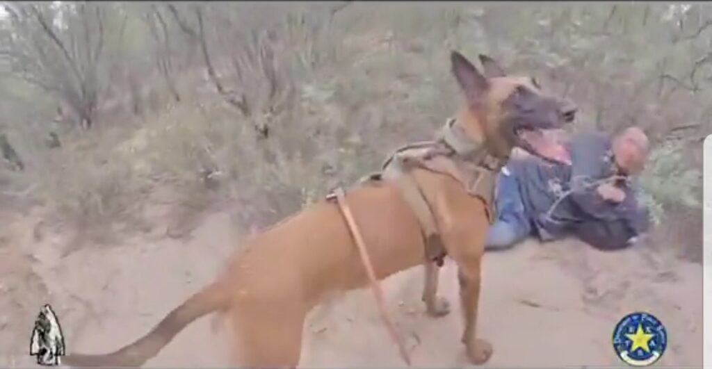 VIDEO: Texas DPS Uses K9 Unit to Track Illegal Aliens in Brush
