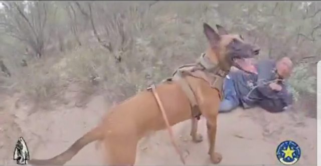 VIDEO: Texas DPS Uses K9 Unit to Track Illegal Aliens in Brush