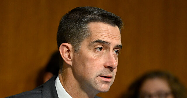Tom Cotton Blasts Leftist Protester: ‘I Apologize to Lunatics for Comparing That Guy to Them’