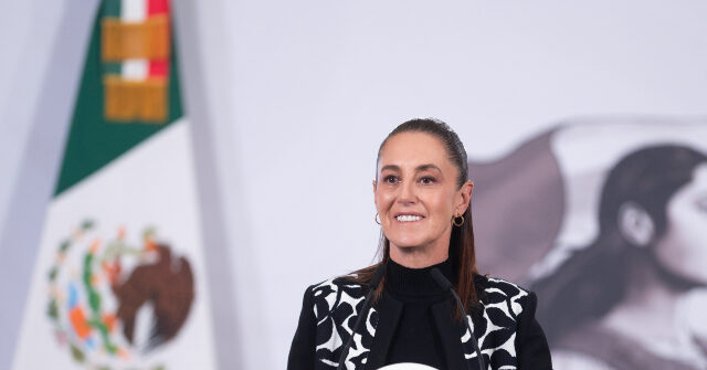 Mexico Claims It Knows Nothing About Cartel Drones on U.S. Border