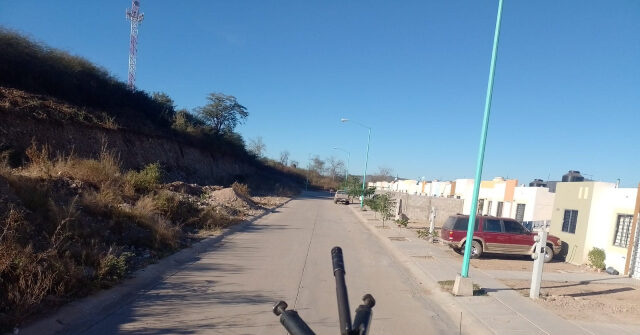 Mexican Sailor Killed In Landmine Explosion While Helping Mothers Find Mass Graves