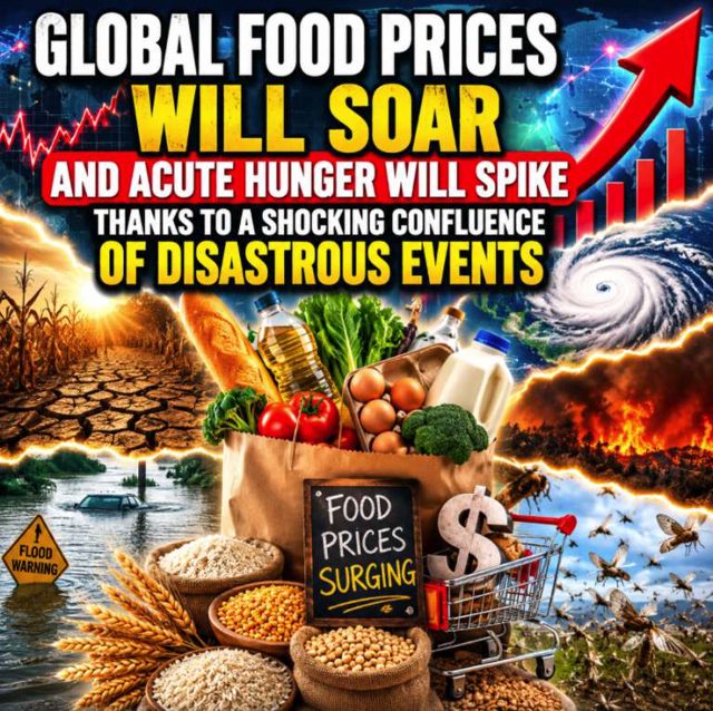 Global Food Prices Will Soar And Acute Hunger Will Spike Thanks To A Shocking Confluence Of Disastrous Events