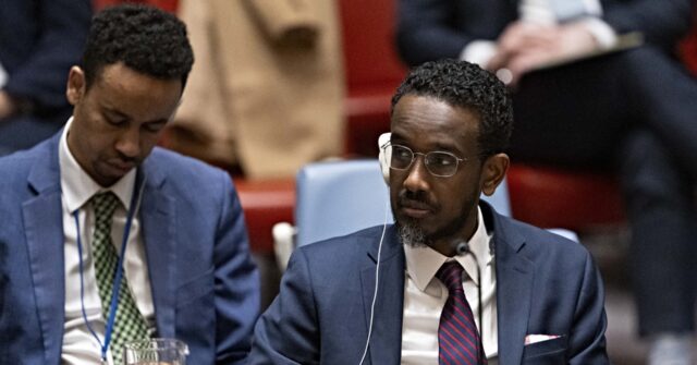 Somalia Assumes Rotating Presidency of U.N. Security Council