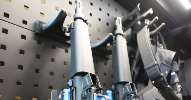 Wisconsin Appeals Court Counters County: Upholds Foster Parents’ 2A Rights